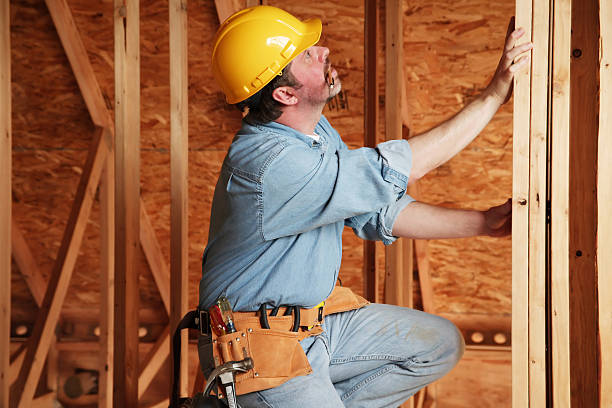 Best Pipe and Duct Insulation  in Palmhurst, TX